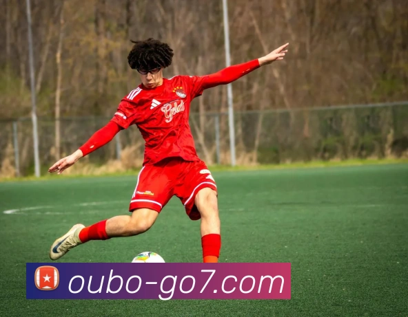 欧博官网平台生态图